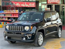 جيب رينيجيد